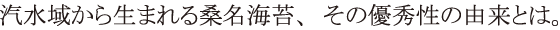 汽水域から生まれる桑名海苔、その優秀性と由来とは。